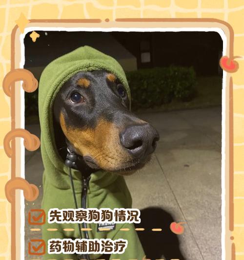 狗子在绝地求生2.0中的操作技巧是什么？如何提高胜率？