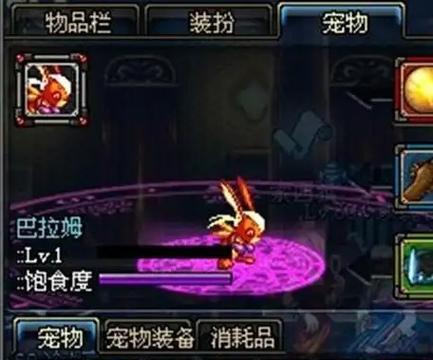 dnf宠物怎么合划算？宠物合成的经济有效方法是什么？