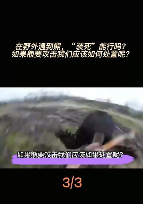 绝地求生中如何应对狗熊的追击？