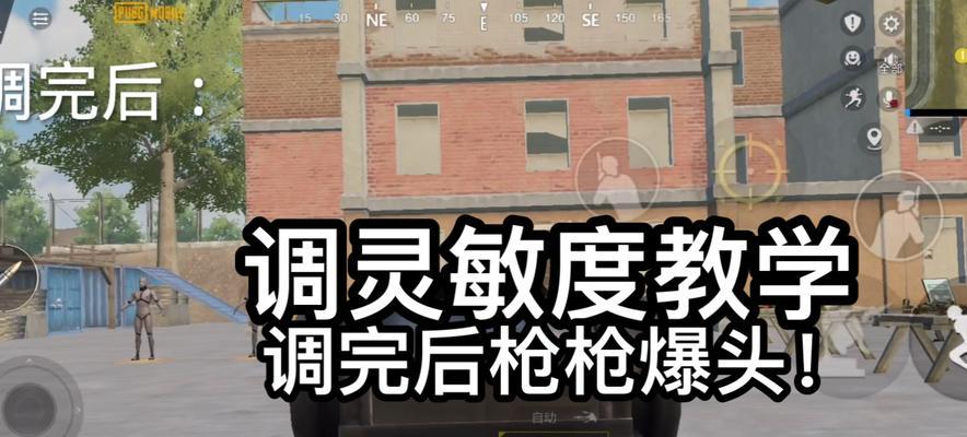 绝地求生端游中如何调整职业设置？职业设置调整的步骤是什么？
