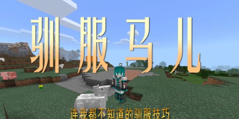 我的世界马匹传送方法是什么？