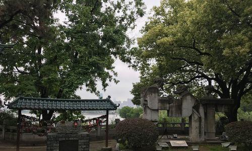 《武林闲侠抚琴台通关攻略》（探索武林世界）