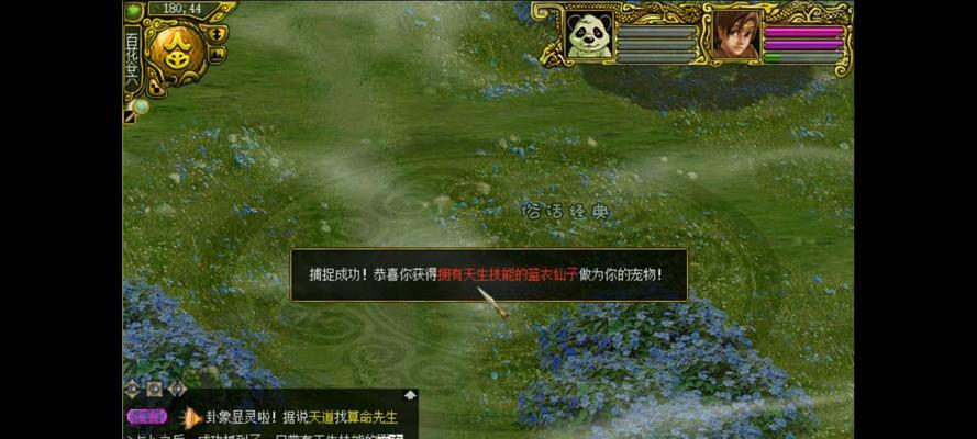 问道中获取最强宠物的途径有哪些？