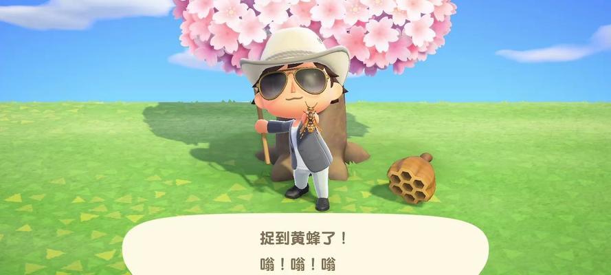 动物森友会黄蜂怎么抓（学会这个方法）