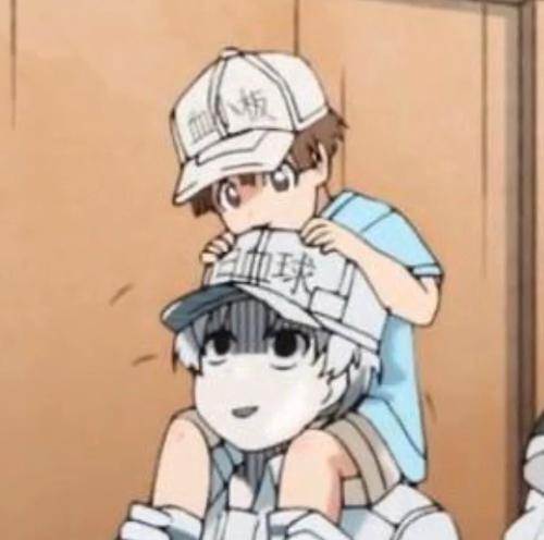 细胞生活的49天（通过游戏体验亲身感受细胞生长的奇妙过程）